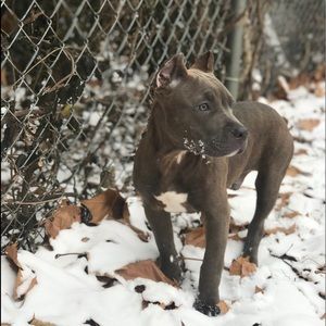 Meet your Posher, Rodrick